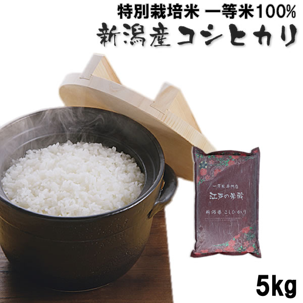 特別栽培米(減農薬・減化学肥料) 一等米100 新潟県産コシヒカリ5kg - 食品