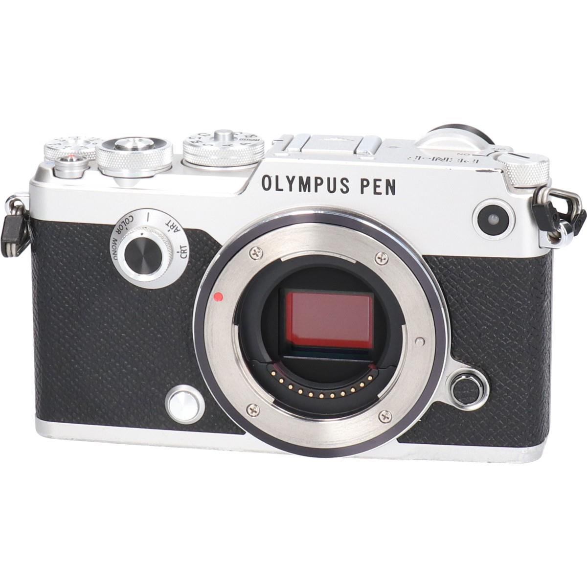 ＰＥＮ－Ｆ しろがね色【中古】