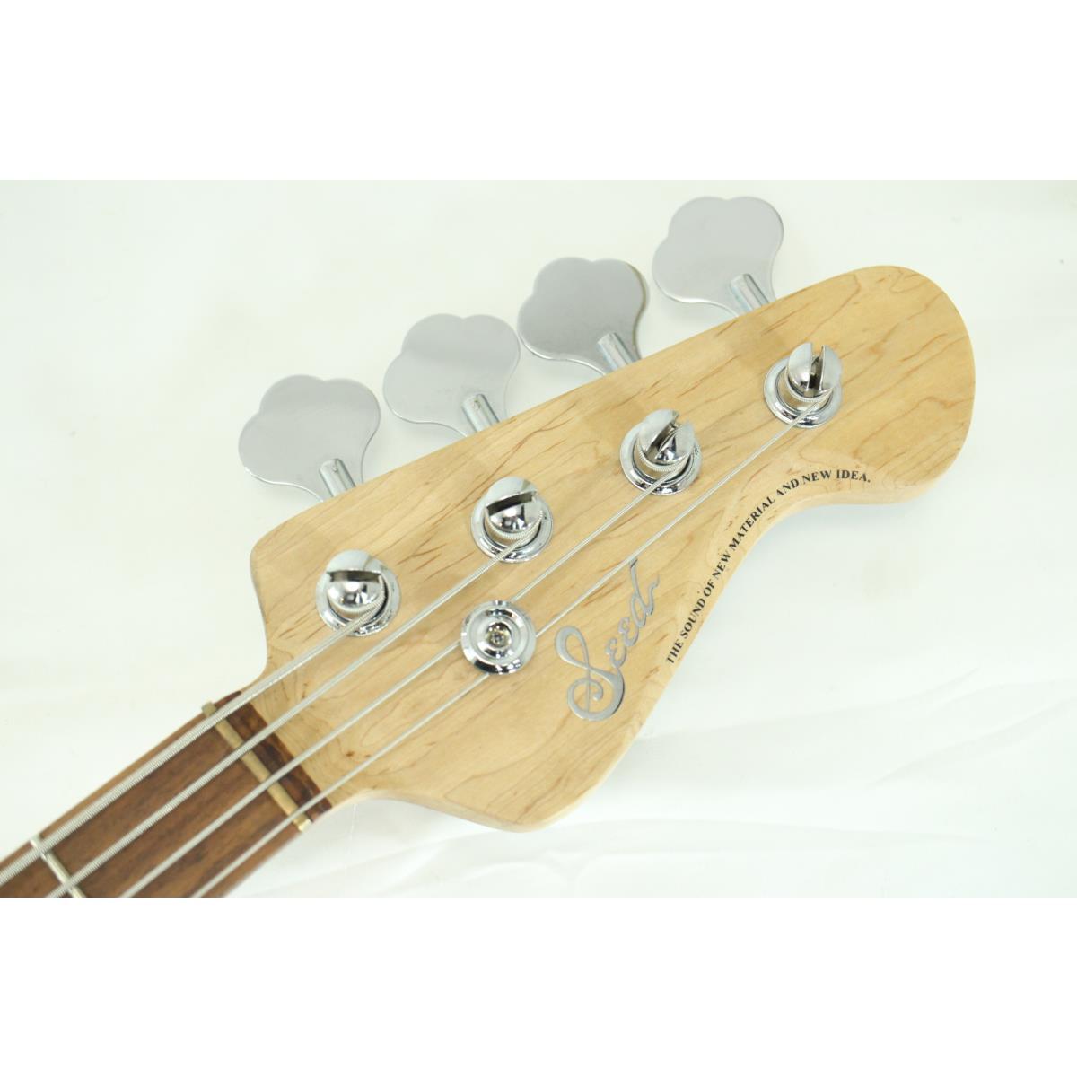 SEED J4 TABUCHI CUSTOM ギター・ベース