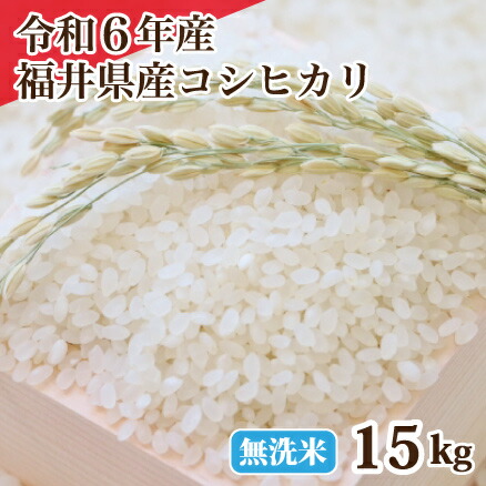 楽天市場】玄米 令和6年産 福井県産コシヒカリ玄米20kg 単一