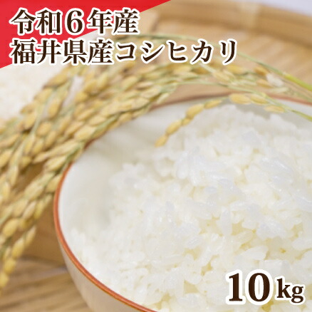 楽天市場】令和6年産 福井県産コシヒカリ 10kg 白米 コシヒカリ