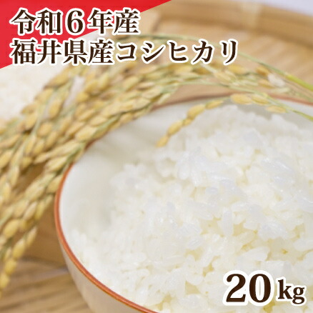 楽天市場】玄米 令和6年産 福井県産コシヒカリ玄米20kg 単一
