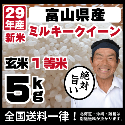 うさうさぎさん専用✳️新米✳️富山県産1等米コシヒカリ2合✖️10＋3