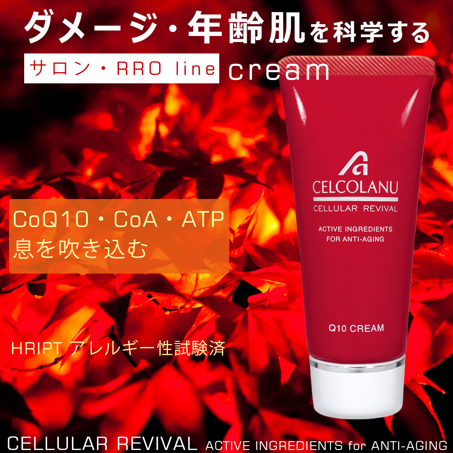 クリーム CoQ10クリーム 補酵素 コエンザイム ATP クリーム 肌活性 エイジング クリーム 高保湿 ハリ 弾力 リフトアップ 美容クリーム セルコラーヌ Q10 クリーム CELCOLANU Q10 CREAM 30g
