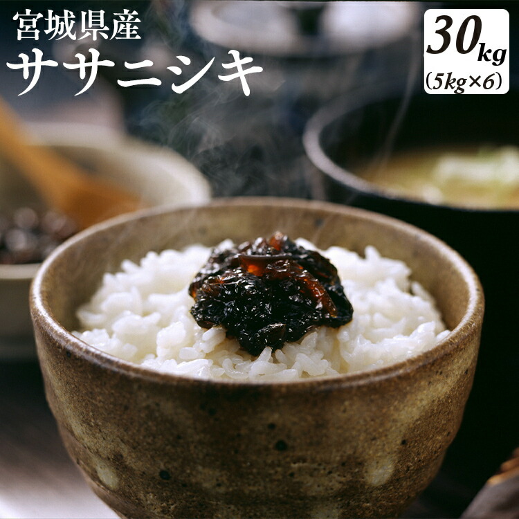 新品本物 楽天市場 最安値に挑戦 令和2年産 宮城県産 ササニシキ 5kg 6送料無料 ササニシキ 30kg 米 30キロ 白米 お米 ご飯 宮城 Td Trs メーカー直送品 Rcp Hls Du 佐藤米穀 楽天市場店 高知インター店 Lexusoman Com