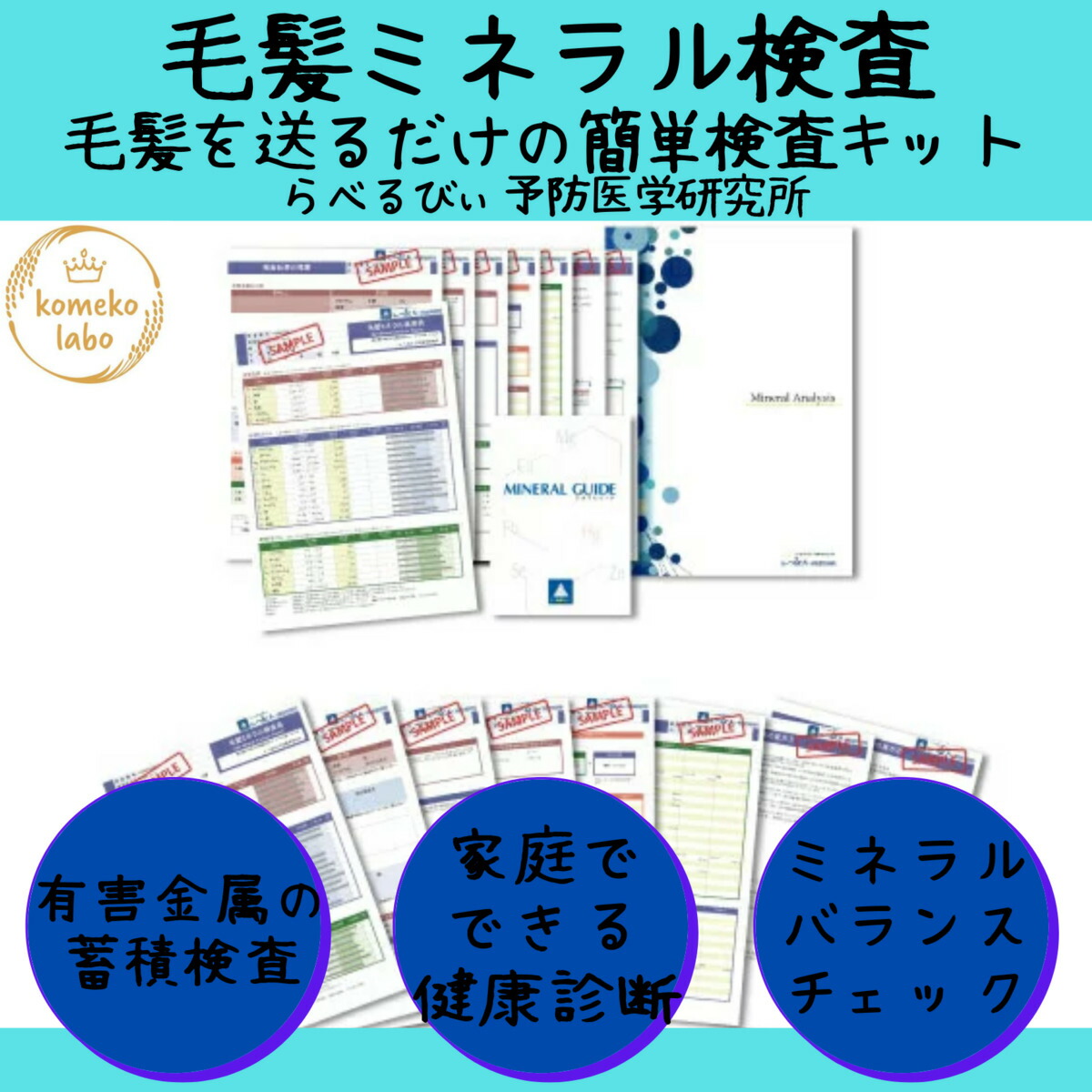 毛髪ミネラル検査 有害ミネラル検査 体調管理 おうちでお手軽検査 健康維持 食改善 Mavipconstrutora Com Br