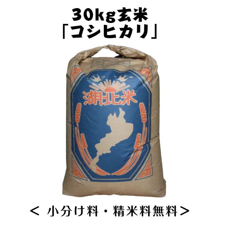 殿堂 新入荷 こしひかり 玄米 30kg 滋賀県産 令和3年産 1等 米 おこめ おいしい 新鮮 白米 精米料無料 小分け お祝い 内祝い 贈答  プレゼント おにぎり 美味しい お取り寄せ 送料無料 北海道 沖縄一部離島は配送不可 fucoa.cl