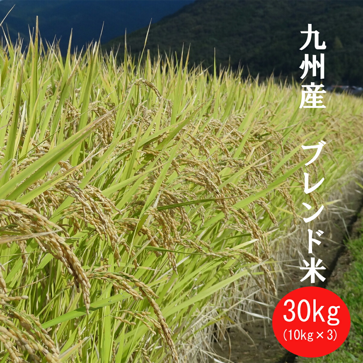 【小粒】【白米  30kg】【送料無料】九州産　ブレンド米　膳の匠【生活応援米・業務用】【米　お米】【九州産】【激安】【米】【１０ｋｇ×３】