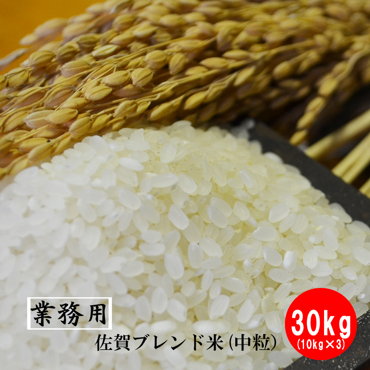 【業務用米】九州佐賀県産ブレンド米  ３０ｋｇ（１０ｋｇ×３）（送料無料）米　お米