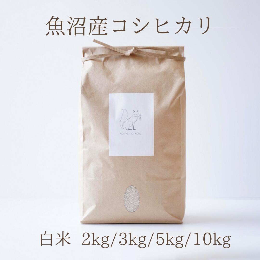 魚沼産コシヒカリ 送料無料 5kg 10kg 2kg 3kg 令和7年産 お米 新米 特A受賞 内祝い 母の日 入学 新生活 入学祝い 卒業祝い お返し 出産祝い ゴルフコンペ 二次会 ビンゴ 景品 粗品 ノベルティ 来場記念 挨拶 コメノコト こしひかり 3000円 5000円