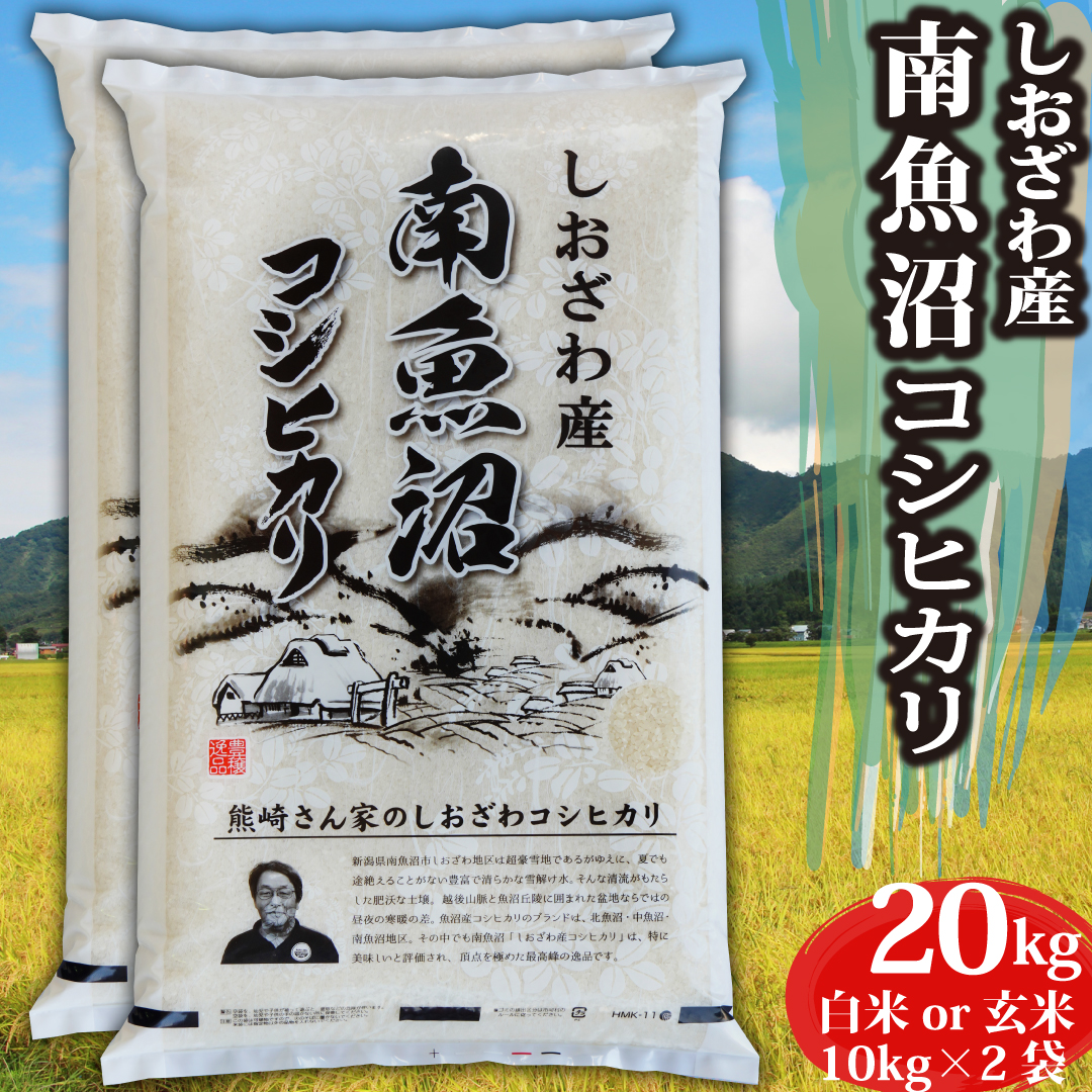 【楽天市場】新米 令和6年 コシヒカリ 【玄米 30kg】新潟県 南魚沼しおざわ産 コシヒカリ 玄米30kg（10kg×3袋） 出荷当日精米  【10kgごとに精米方法が選べる】 単一原料米 米 お米 玄米 白米 30キロ 魚沼産 塩沢 コシヒカリ100% 匠のお米 送料