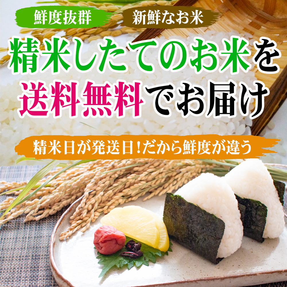 低価格化 佐渡産コシヒカリ 白米 30kg 新潟県 ギフト コシヒカリ 佐渡 令和3年産 棚田米 米 fucoa.cl