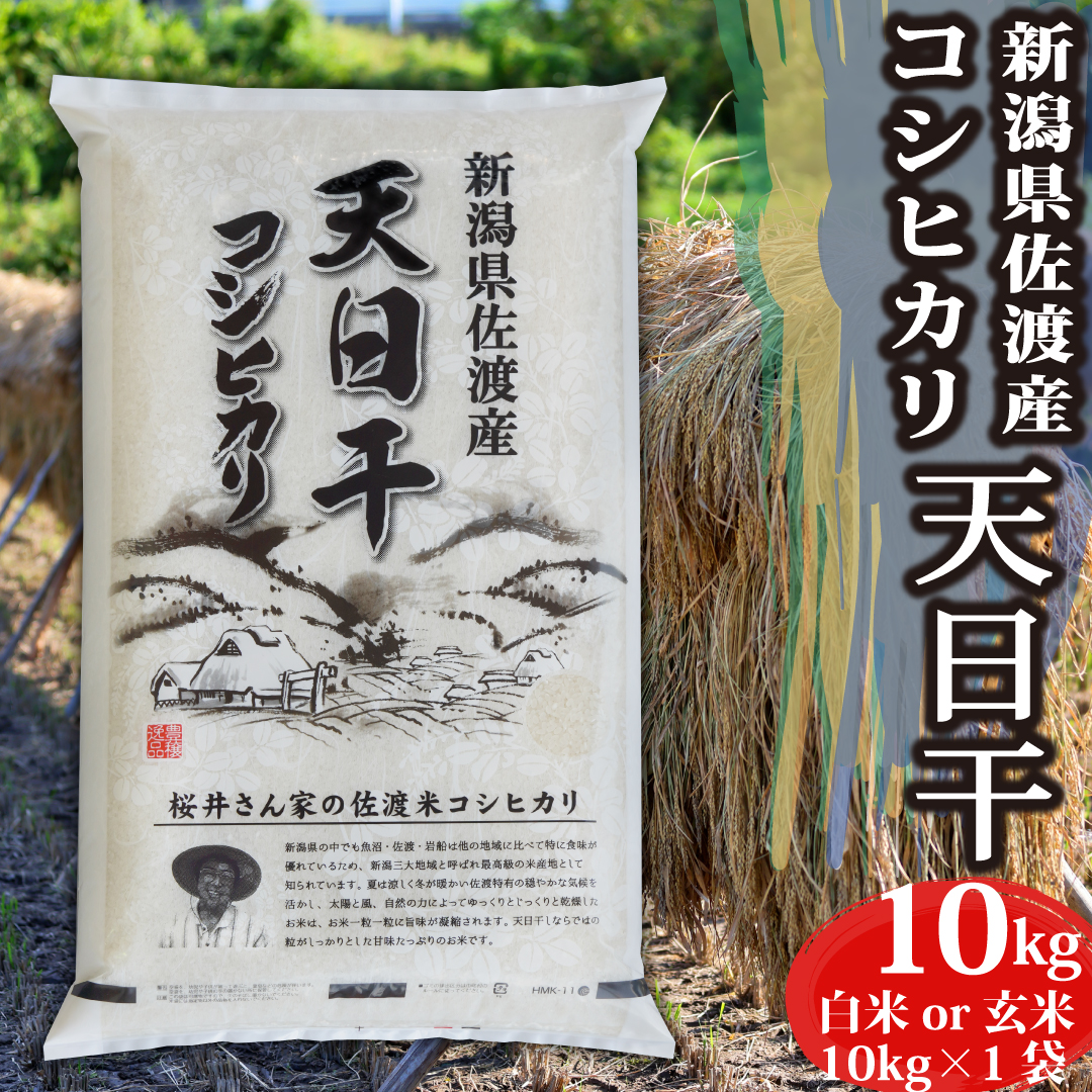 【楽天市場】米 令和5年産 コシヒカリ 新潟県 佐渡産 白米 玄米 30kg 