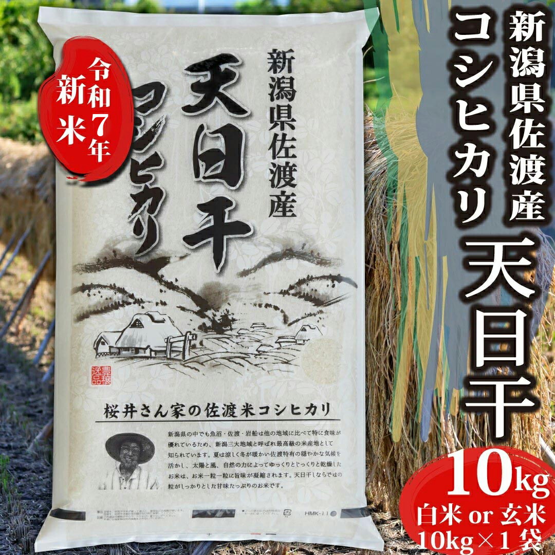 楽天市場】新米予約 新米 令和7年産 コシヒカリ 天日干し 新潟県
