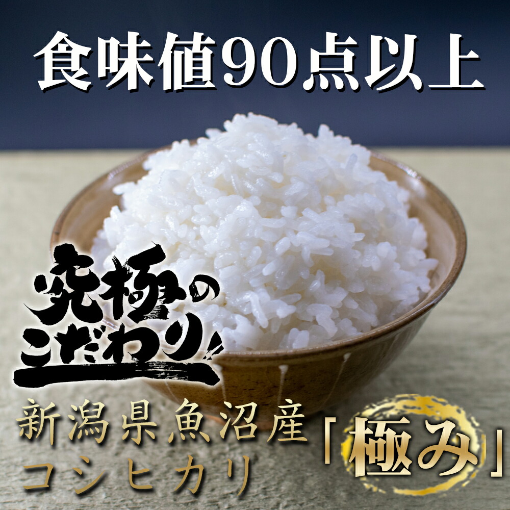 のとれたて コシヒカリ 30kg 新米 お米 送料無料 10kg×3袋 白米 令和3