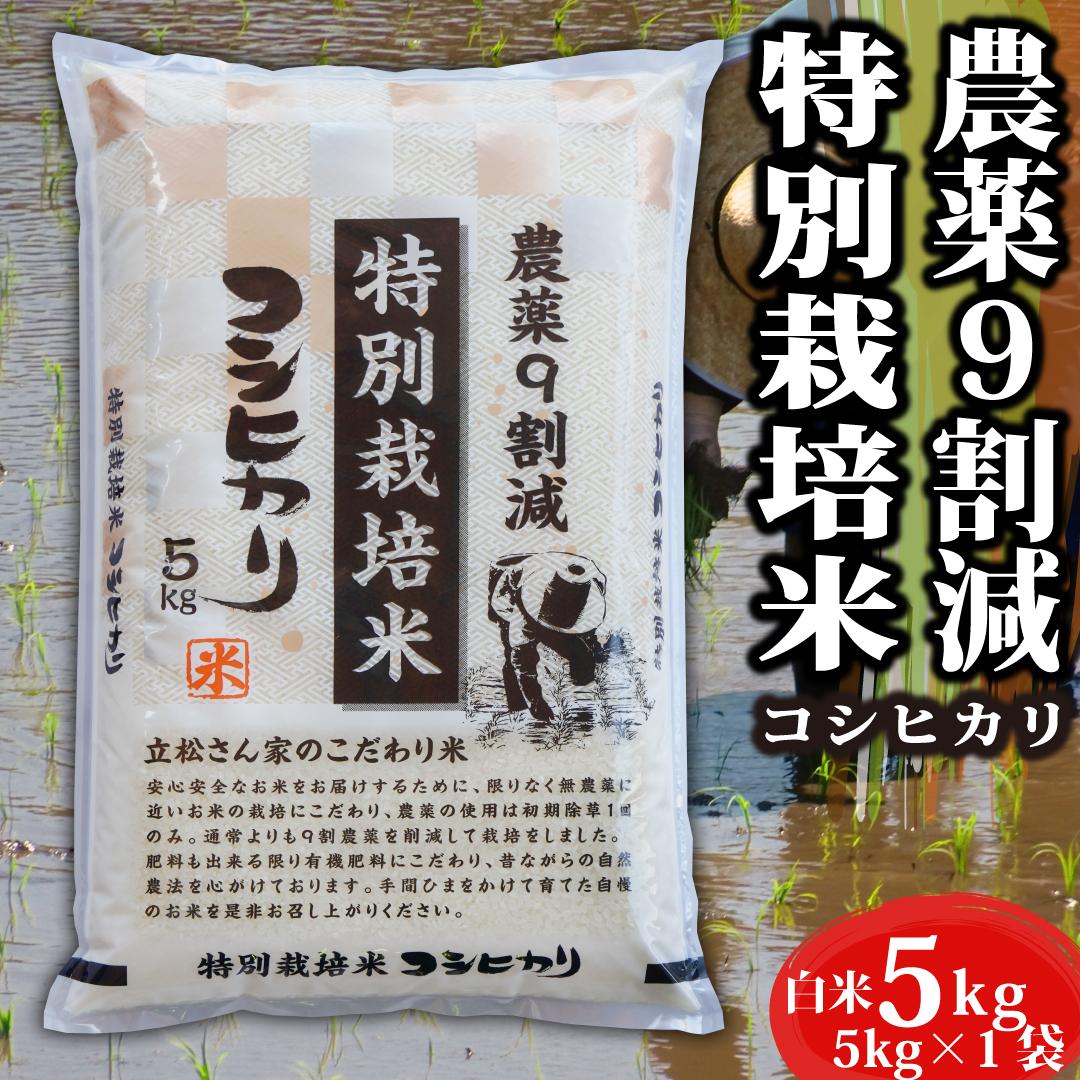 【楽天市場】特別栽培米 米 10kg 令和5年産 コシヒカリ 愛知県 お米