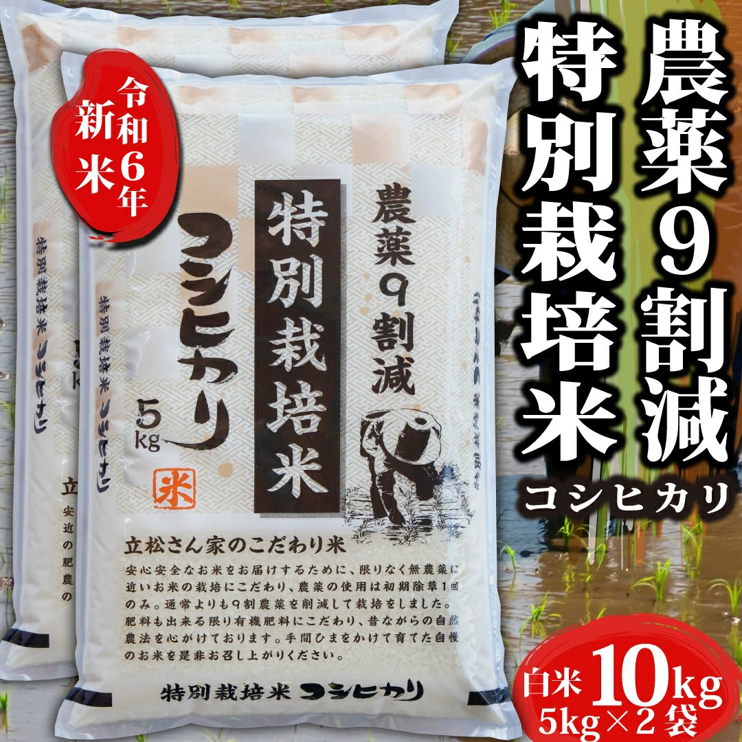 【楽天市場】新米 令和6年 特別栽培米 新米 5kg 令和6年産 コシヒカリ 愛知県 お米 白米 5キロ 特別栽培 有機栽培 農薬節減 令和6年 令和 6年産コシヒカリ こしひかり 愛知 有機 精米 ブランド おこめ こめ 健康 お試し ギフト プレゼント 内祝い 贈り物 プチギフト ...