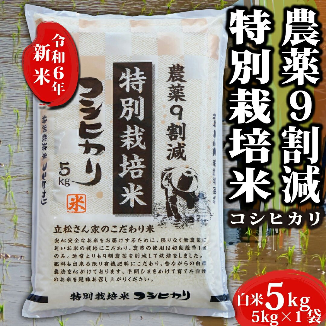 楽天市場】新米 令和6年 特別栽培米 10kg 令和6年産 コシヒカリ 愛知県 お米 白米 10キロ 特別栽培 有機栽培 農薬節減 令和6年 令和6年産コシヒカリ  こしひかり 愛知 有機 精米 ブランド おこめ こめ 健康 お試し ギフト プレゼント 内祝い 贈り物 プチギフト 一人暮らし ...