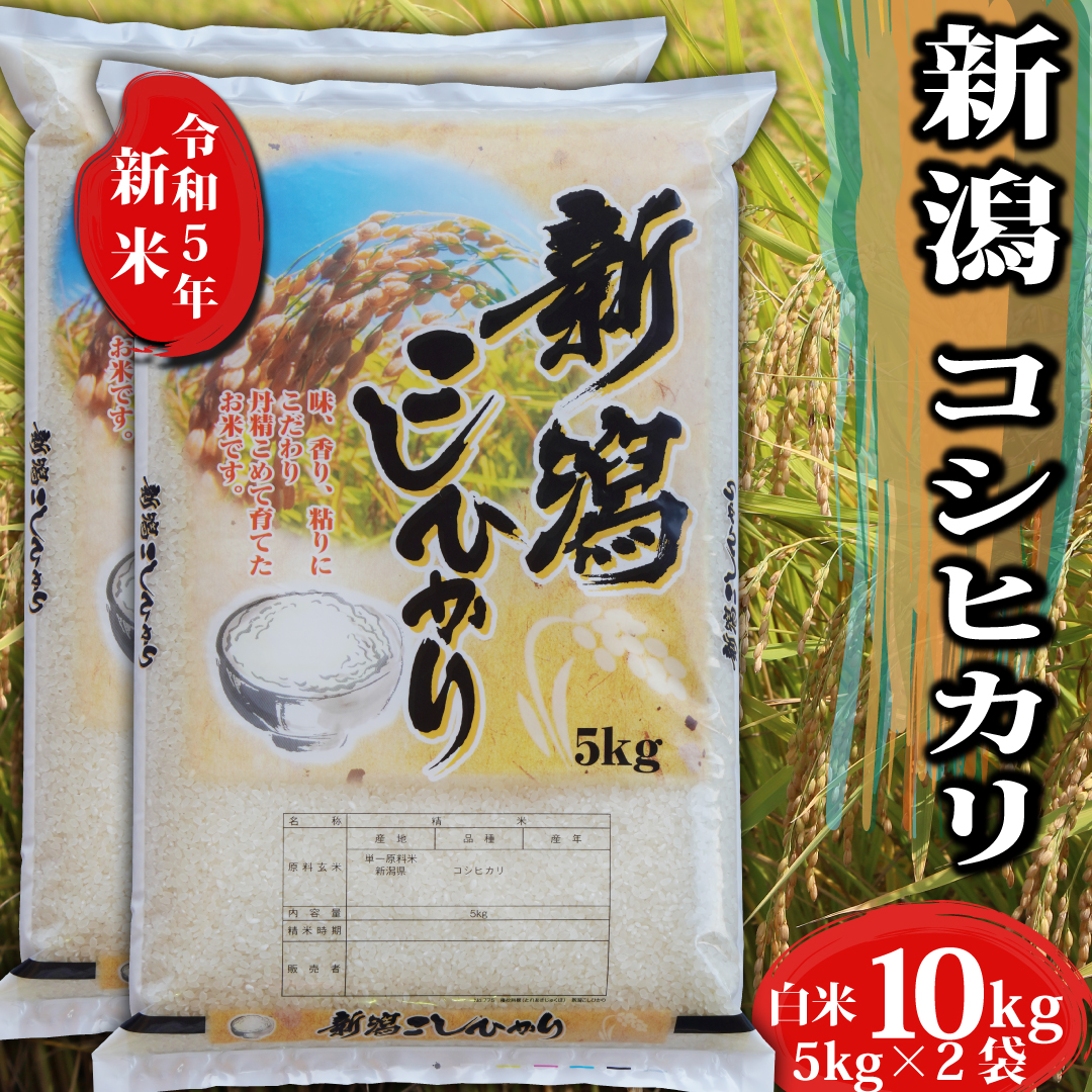 楽天市場】新米 令和5年 コシヒカリ お米 新米 送料無料 新潟県産