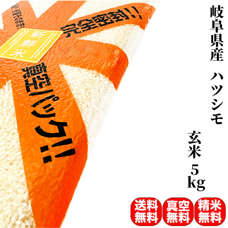 楽天市場】米 30kg 一等米 ハツシモ 岐阜県産 令和6年産 玄米