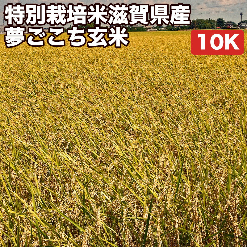 【令和7年産】【減農薬 特別栽培米 農薬5割減 化学肥料5割減】米 10kg 一等米 夢ごこち 滋賀県産 玄米（5kg&times;真空パック2袋）令和7年産【送料無料 精米無料 真空パック無料】【7種類の精米】真空パック(特許取得済み)で3年～5年の長期保存が可能｜コメのやまや　店