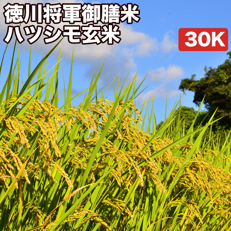 宮城県産 だて正夢 玄米 30kg（5kg×6袋）令和4年産【送料無料/精米無料/真空パック無料】【7種類から選べる精米】 備蓄に最適な真空パック（特許取得済み）なので3年〜5年の長期保存が可能です。非常食 防災用 保存 コメのやまや 