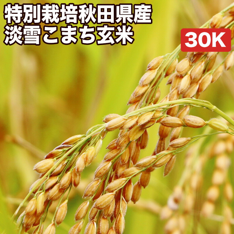 送料無料 真空パック無料 特別栽培米 淡雪こまち 玄米 送料無料 もっちりとした食感 淡雪のようなふんわり感 冷めても固くなりにくいのでおにぎり お弁当などに最適です 淡雪こまち 米 雑穀 選べる搗き方 白米 ハイガ米 玄米 8分つきなど 防止に コメ 送料無料 真空パック無料 特別栽培米 淡雪こまち 玄米 送料無料 もっちりとした食感 淡雪のようなふんわり感 冷めても固くなりにくいのでおにぎり お弁当などに最適です 淡雪こまち 米 雑穀 選べる搗き方 白米 ハイガ米 玄米 8分つきなど 防止に コメ