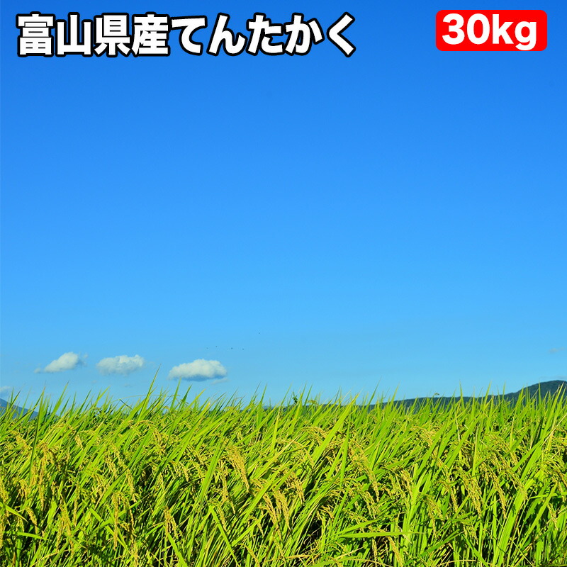 楽天市場】【新米入荷 令和4年産 】富山県産 コシヒカリ 玄米 30kg（5kg×6袋）令和4年産【送料無料＆精米無料＆真空パック無料】【7種から選べる 無料精米】厳選 極上 内祝い 牛丼 親子丼 うな重 TKG 卵かけご飯 お米 お粥 味噌汁 日本食 和食 : コメのやまや 楽天市場店