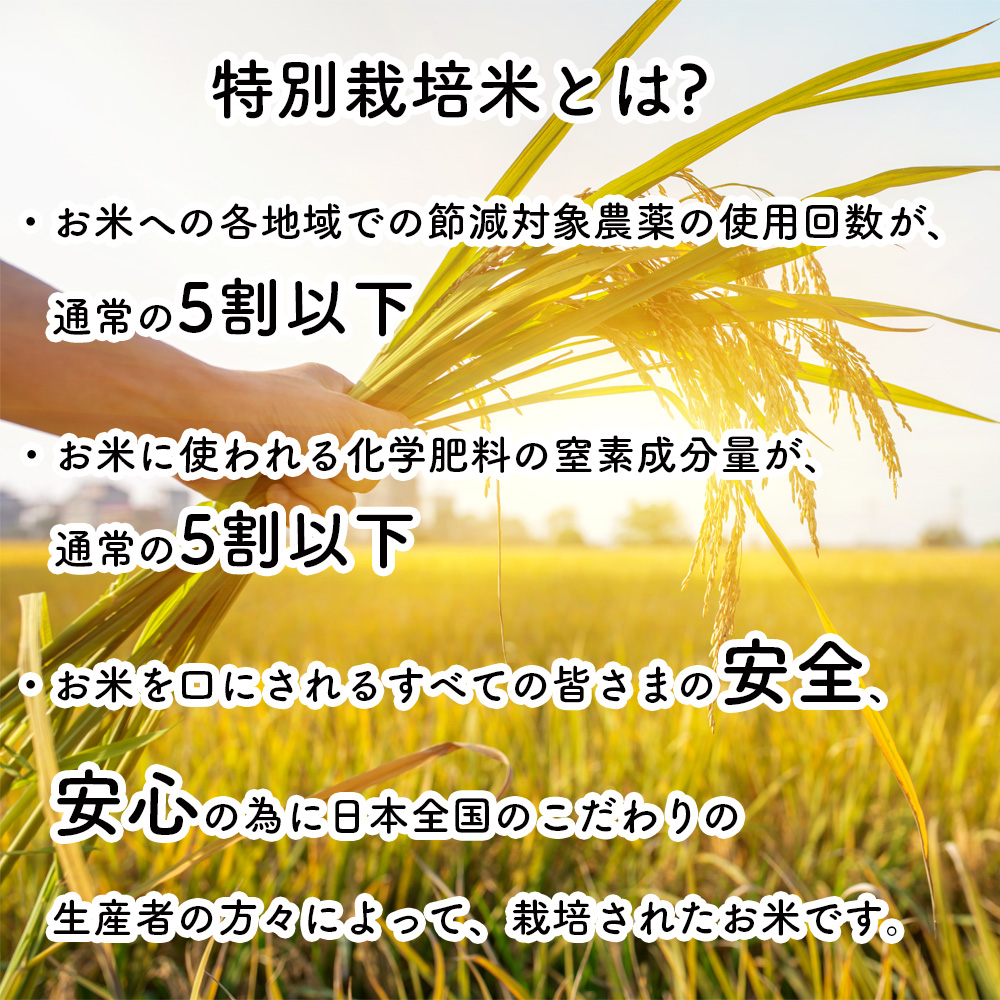 【減農薬特別栽培米】令和3年産秋田県産淡雪こまち玄米30kg(5kg×6袋)【送料無料精米無料真空パック無料】【7種から選べる無料精米】厳選極上カレー牛丼親子丼うな重TKG卵かけご飯お米日本食和食洋食