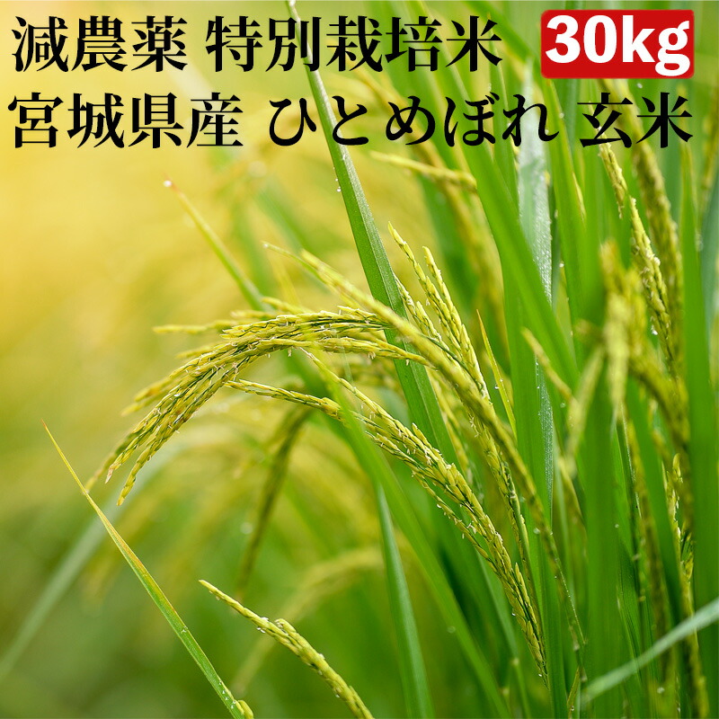 【減農薬 特別栽培米 農薬5割減 化学肥料5割減】米 30kg 一等米 ひとめぼれ 宮城県産 玄米（5kg×真空パック6袋）令和7年産【送料無料 精米無料 真空パック無料】7種類から選べる精米 真空パック(特許取得済み)で3年～5年の長期保存が可能 29,249円