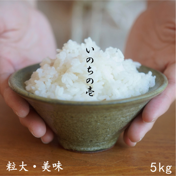 幻のお米 令和6年度『いのちの壱』 岐阜県産 新米 白米 30kg