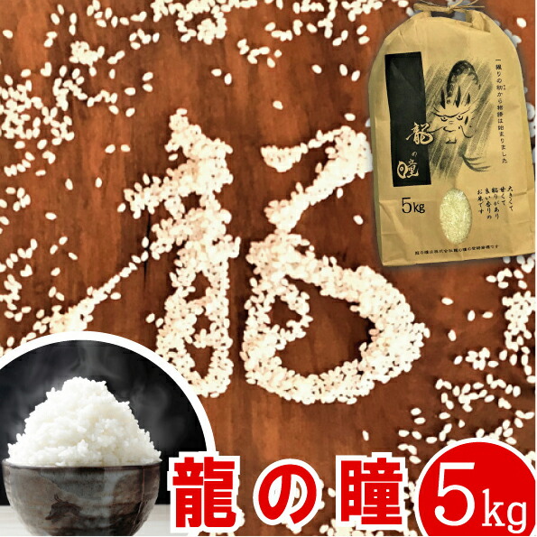 幻のお米 龍の瞳 5kg令和3年産(2021年) ギフトご贈答に! 岐阜県下呂発祥 いのちの壱 お中元 御中元 お米