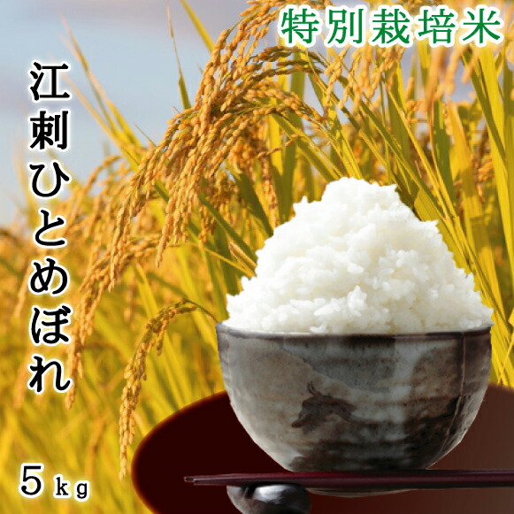 江刺ひとめぼれ 特別栽培米 令和6年産 岩手県産 減農薬  5kg 【あす楽】安心 安全/お歳暮/お中元/米/有機肥料/栽培期間中化学肥料不使用 敬老の日 ギフト