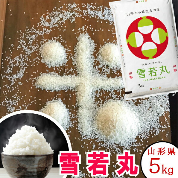 みんみん 無農薬コシヒカリ5分づき20kg(5kg×4)令和6年産 tawaraya-kome_siga-munouyaku5