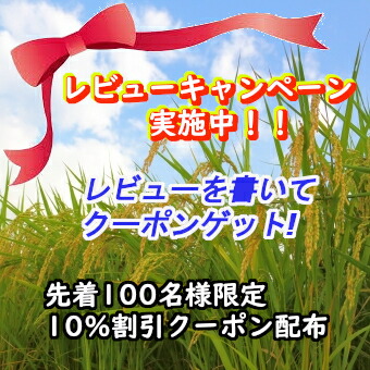 有名ブランド 令和3年産 特別栽培米 新潟 コシヒカリ 新潟県産 こしひかり 新潟産コシヒカリ 魚沼産コシヒカリ 15kg 魚沼コシヒカリ 新潟こしひかり 15キロ 魚沼産 のし対応 内祝い お祝い 引越し 出産 近所 挨拶 贈答用 米 プレゼント ギフト米 おいしい お米 仕送り 5kg