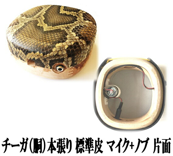 三線 チーガー 本張り チャーギ 楽天市場】三線 チーガ 胴 上等本張り 本蛇皮一枚張り 盛島開鍾