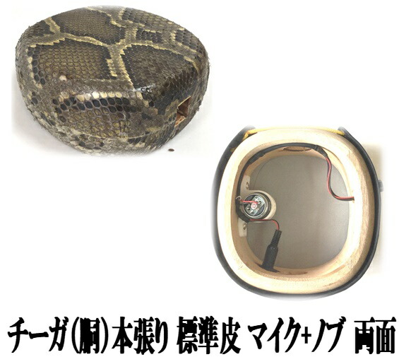 三線　チーガ　両面本皮　　ティーガ付き 楽天市場】 三線 チーガ 胴 盛島開鍾 各種 : 三線職人の専門店