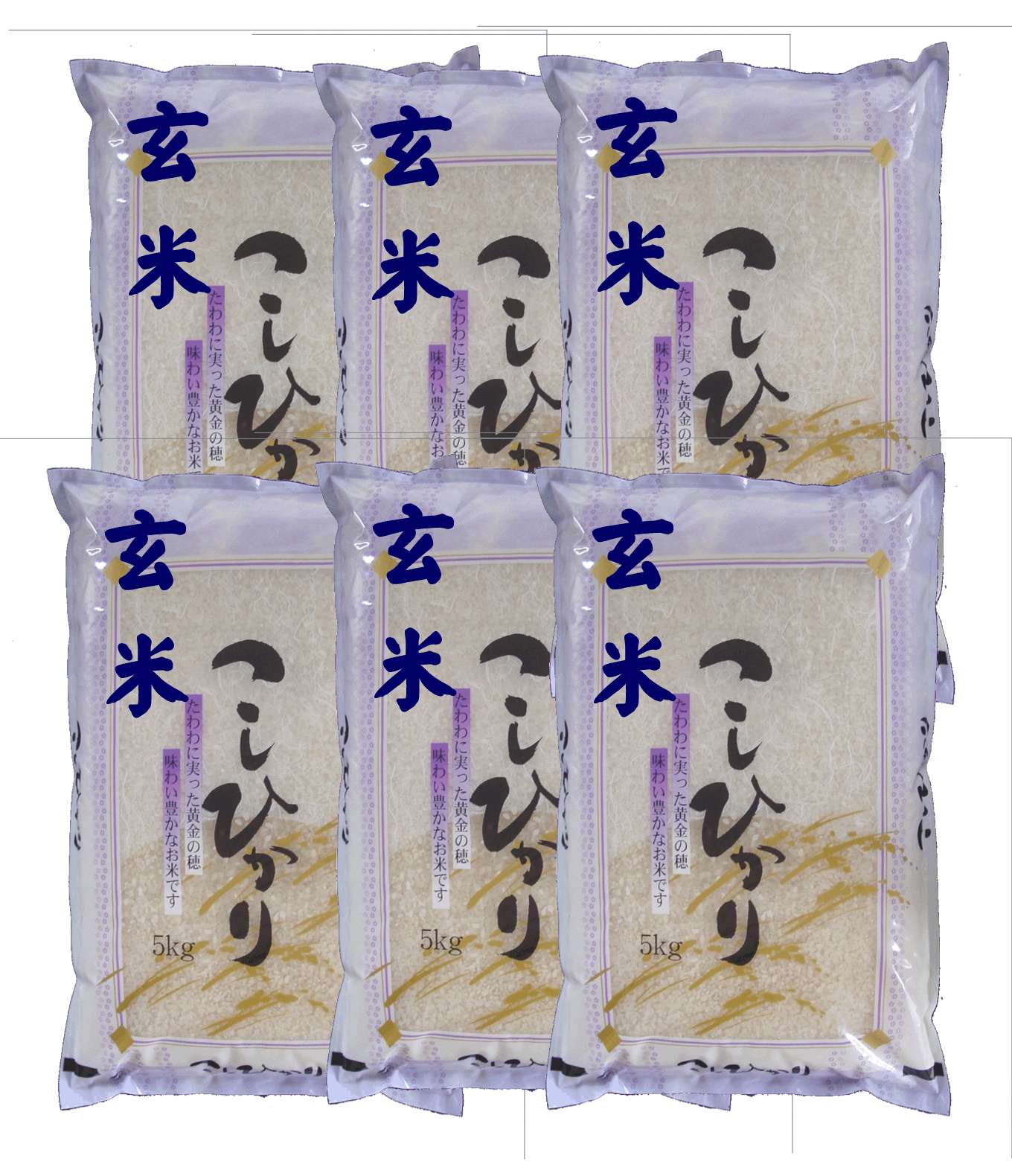 古米　令和5年産　石川コシヒカリ　玄米30㎏ 玄米 石川 30Kg」の人気商品一覧 | 安い商品を通販サイトから