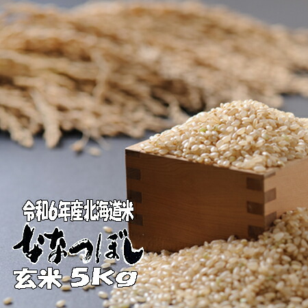 令和６年産　玄米　５ｋｇ　ななつぼし　北海道　送料無料