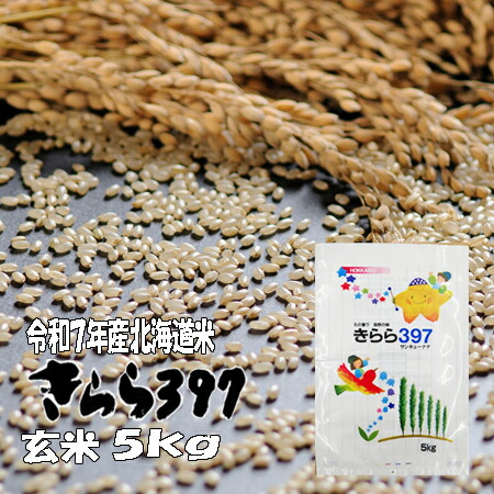 令和7年産 玄米 5kg きらら397 北海道米 送料無料