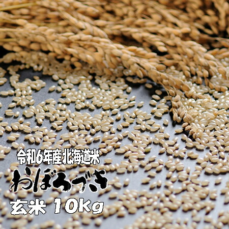 令和６年産　玄米　１０ｋｇ　おぼろづき ５ｋｇ×２　北海道　送料無料