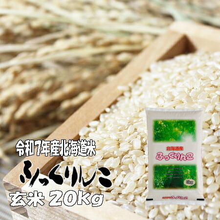 楽天市場】令和7年産 玄米 20kg きらら397 5kg×4 北海道