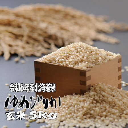 令和６年産　玄米　５ｋｇ　ゆめぴりか　北海道　送料無料