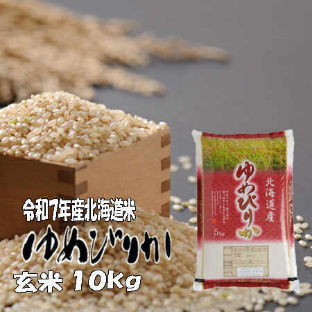 楽天市場】令和7年産 玄米 20kg きらら397 5kg×4 北海道