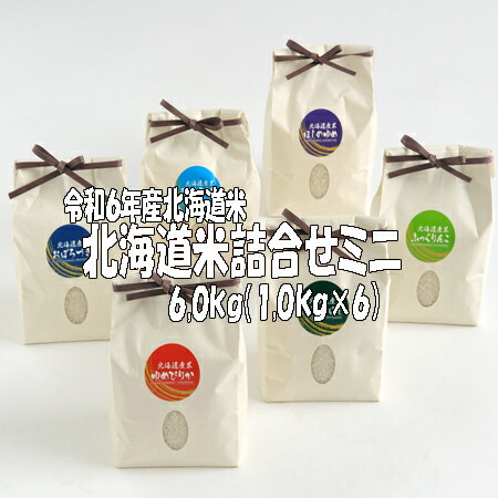 詰合せ　令和６年産　北海道米詰合せミニ  １,0ｋｇ×６袋　北海道米　送料無料