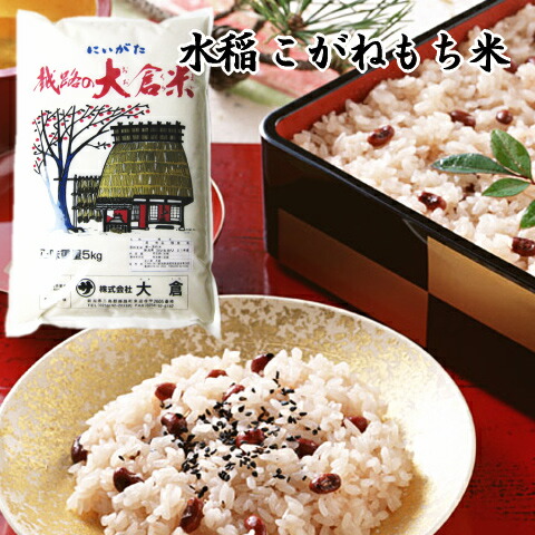 もち米 新潟県産 こがねもち （ 令和6年産 ） 5kg 【 送料無料 】