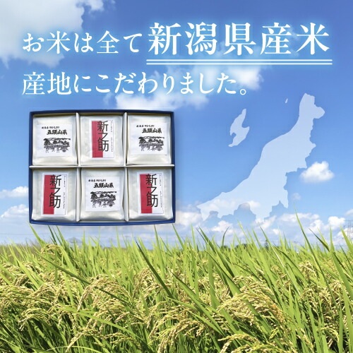 米 贈答用 食べ比べセット お米 食べ比べ ギフト 新潟産米食べ比べ 新之助 コシヒカリ 3合×6 各3個ずつ 新米 新潟県産 令和6年 プレゼント のし お返し 御祝 内祝 入学 卒業 粗品 食べ物 食品 ご飯 白米 精米 単一原料 おしゃれ お取り寄せ 送料無料 即日発送