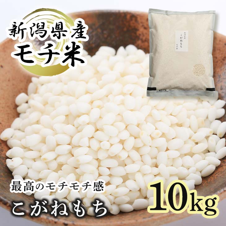 市場 もち米 こがねもち あす楽 新潟県産 白米 5kg×2 米 小分け 10キロ コガネモチ 粘りが強い 令和3年 餅米 新米 新潟 10きろ  10kg もちもち 精米