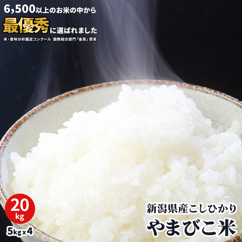 【楽天市場】米 10kg コシヒカリ 新潟県産 令和5年 美味しいお米 