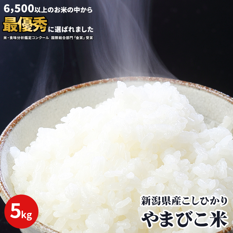 白米　5kg コシヒカリ　新米　埼玉県産　令和5年産　送料無料　米　5キロ